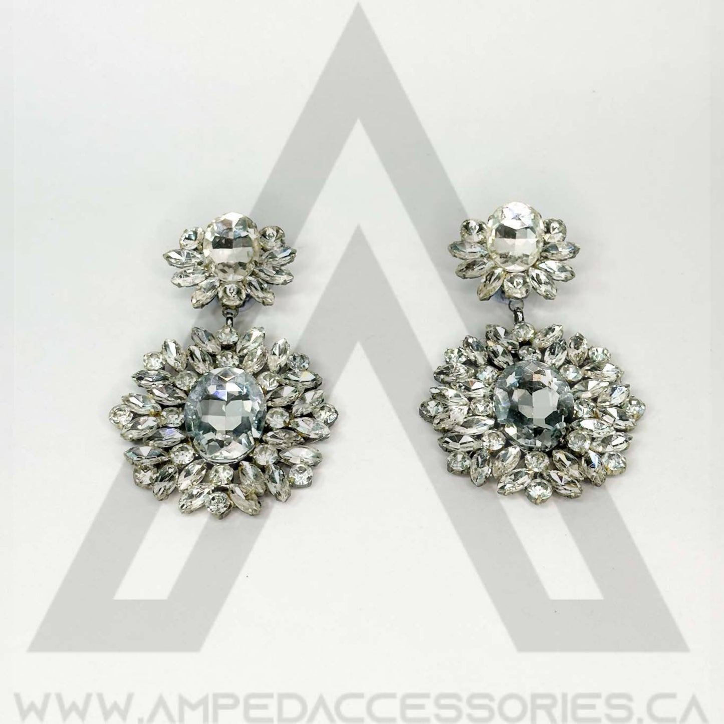 Clear Earrings