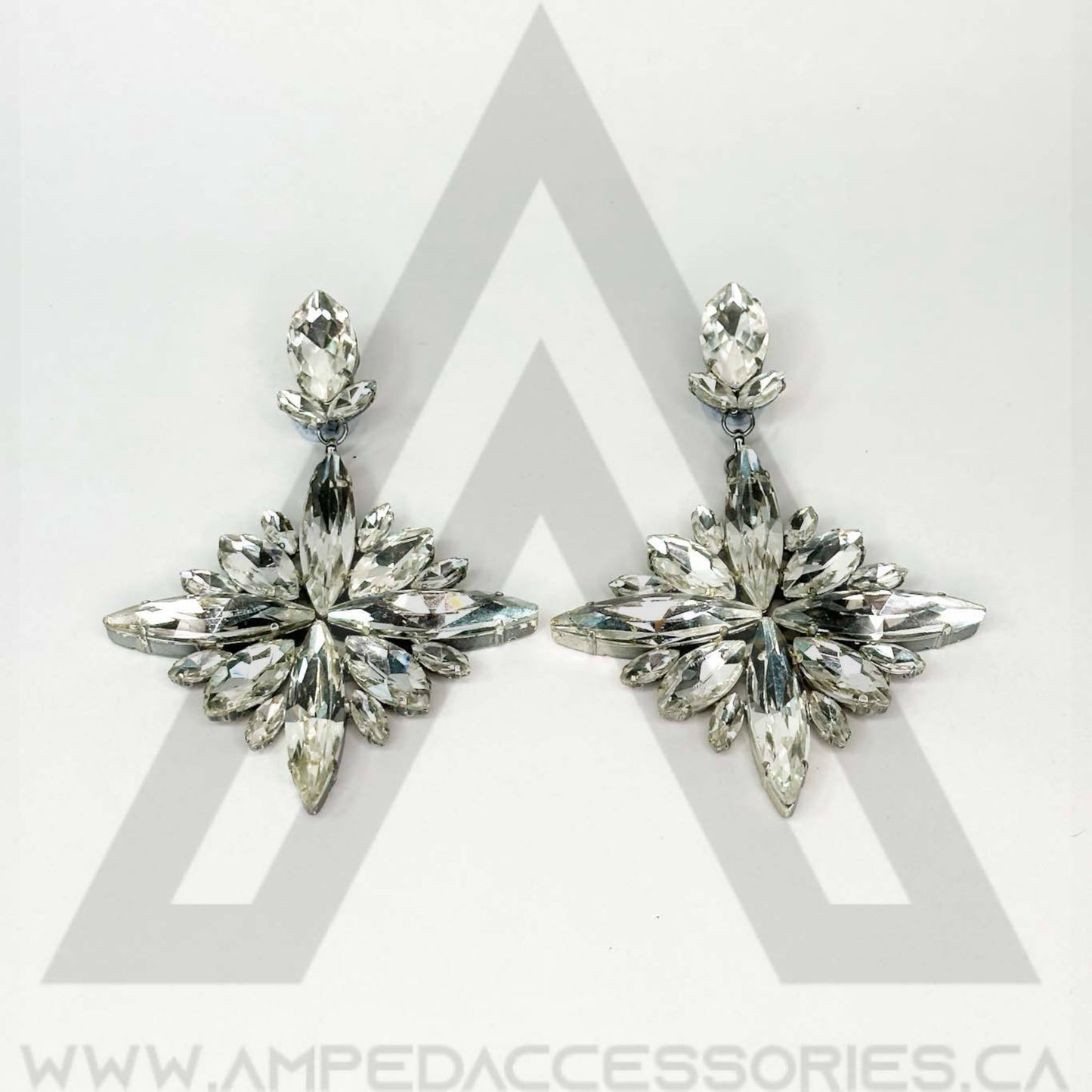 Clear Earrings