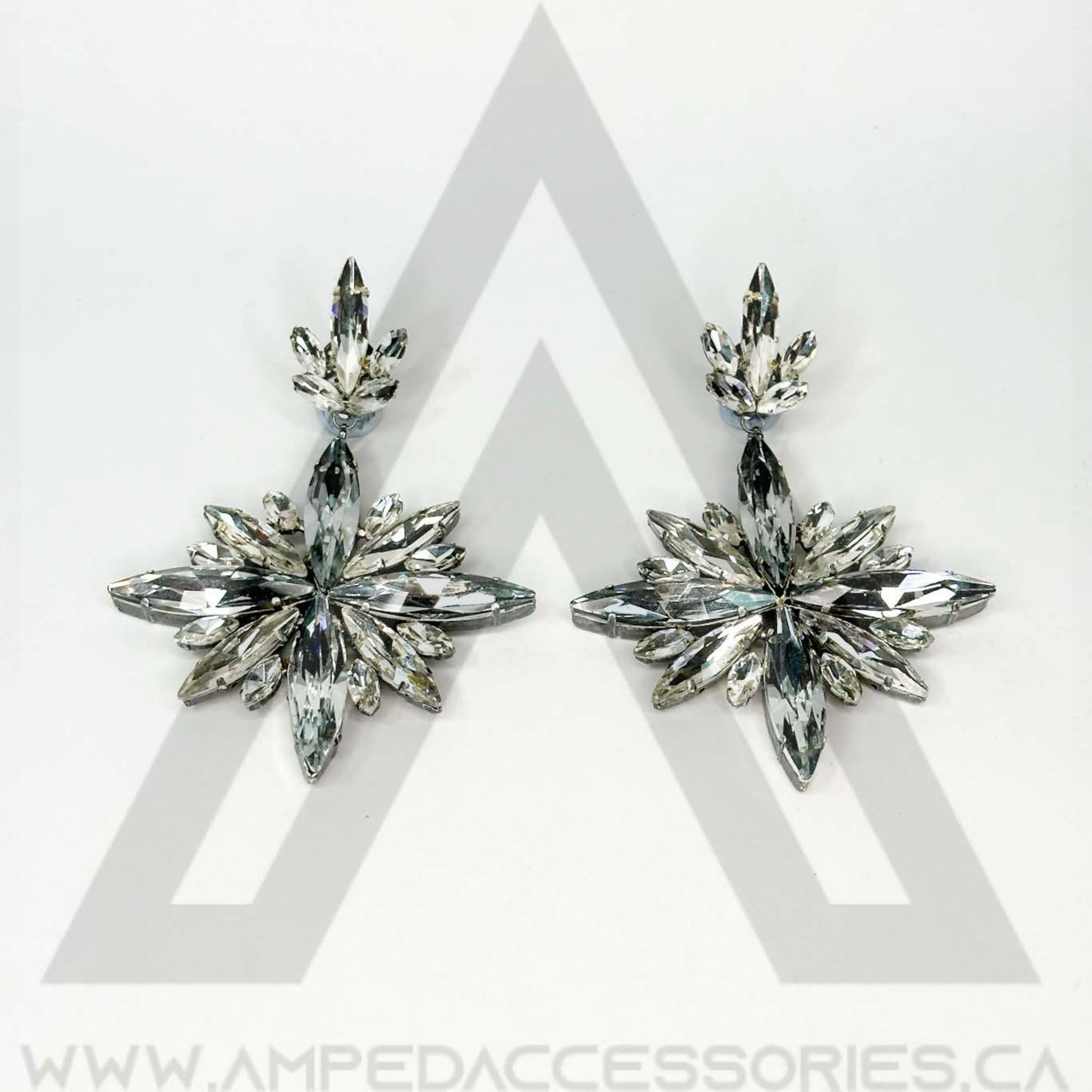 Clear Earrings